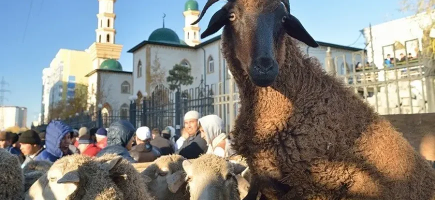 Qurban rəsməklə məsul olan şəxsdə tələb olunan şərtlər