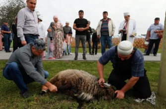 Qurban nə vaxt və necə kəsilməlidir